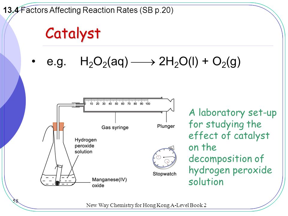 The effect of catalase concentration on the rate of decomposition of hydrogen peroxide Essay